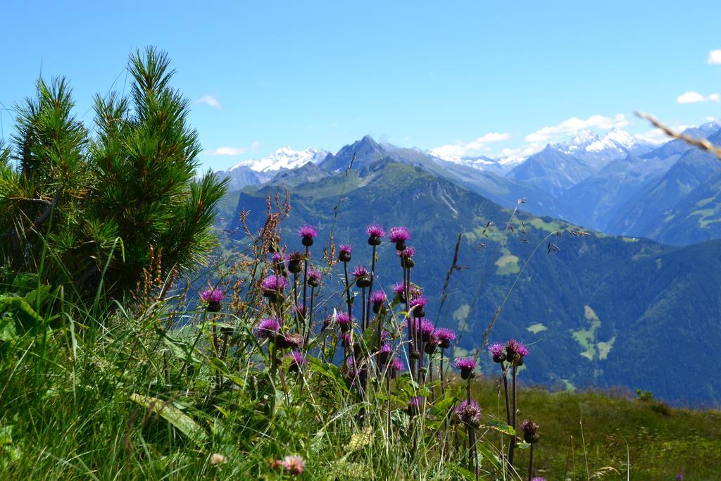 Apartments Emma, Zillertal, Tirol 칼텐바흐 외부 사진